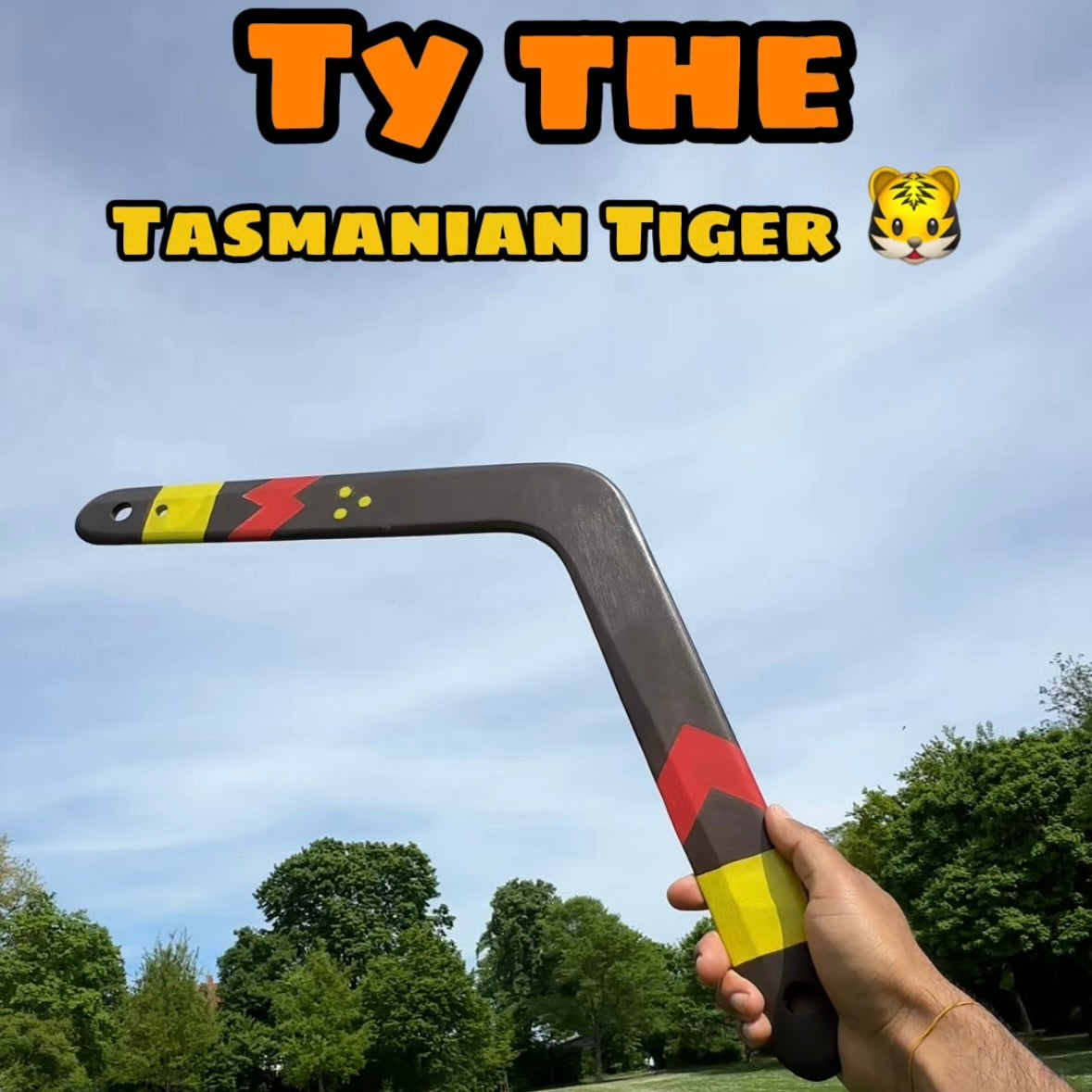 Ty the Tiger Boomerang