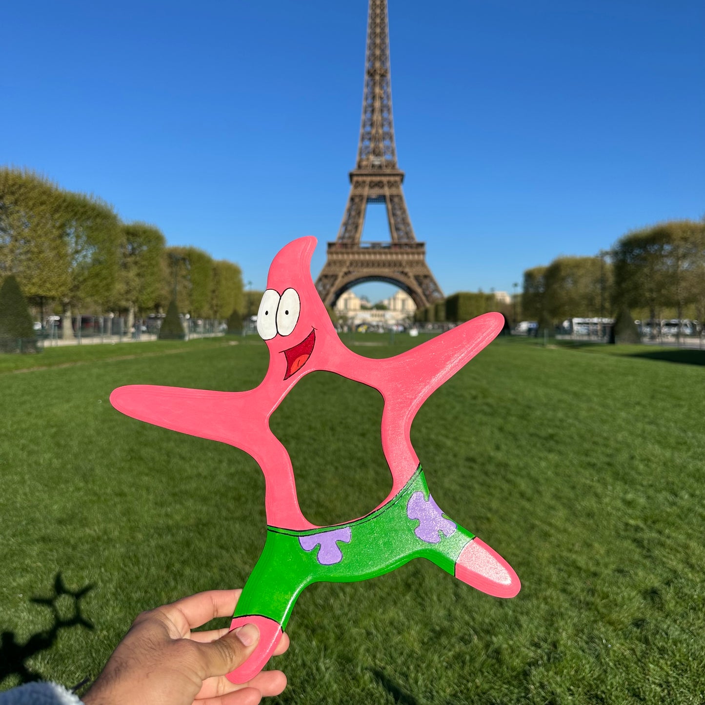 Starfish Boomerang