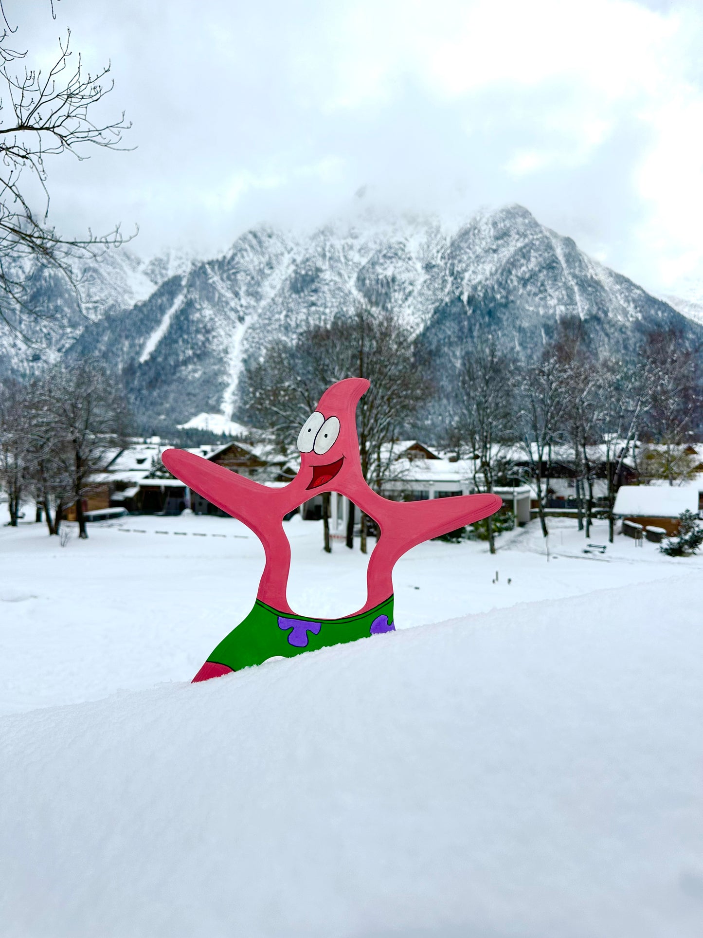 Starfish Boomerang