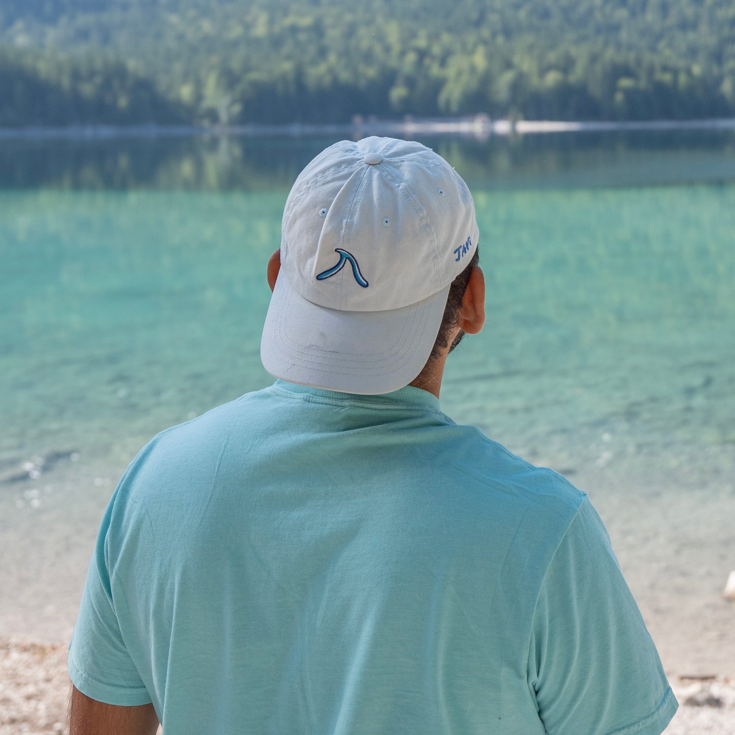 The Wave dad hat