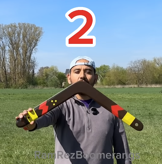 Ty the Tiger Boomerang